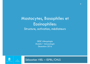 Monocytes, Basophiles et Eosinophiles