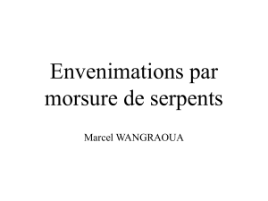 Presentation envenimation serpent Marcel WANGRAOUA