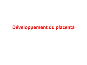 pdf : placenta et jumeaux