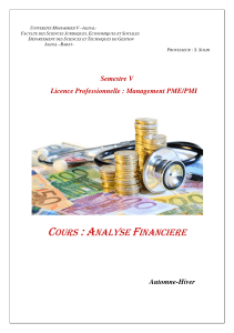 cours analyse financiere