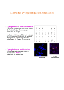 Méthodes cytogénétiques moléculaires