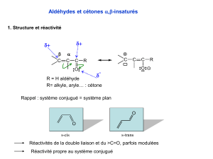 2009 Lyon Walchshofer Carbonyles Cours