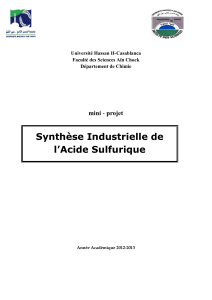 synthese-de-l-acide-sulfurique