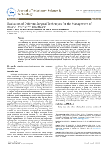 evaluation-of-different-surgical-techniques-for-the-management-of-bovine-obstructive-urolithiasis-2157-7579.1000203