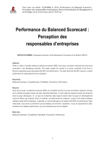 performance-du-balanced-scorecard