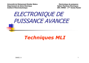 Techniques MLI