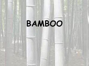 bamboopresentation-180808093724