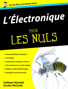 L'Electronique Pour les Nuls ( PDFDrive.com )