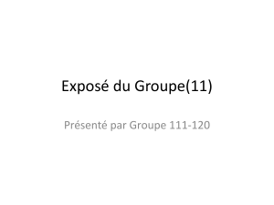 Exposé du Groupe(11)