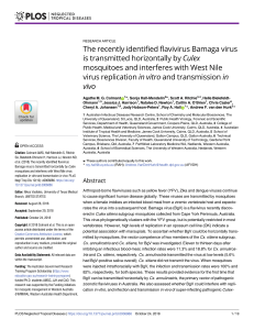 The recently identified flavivirus Bamaga virus