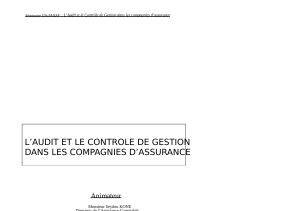 Audit et Contr&ocirc;le de Gestion dans l'Assurance