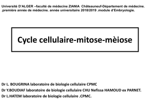 1-Mitose meiose 