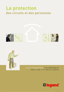 Protection &eacute;lectrique : Guide p&eacute;dagogique NF C 15-100