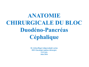 Anatomie du bloc DP