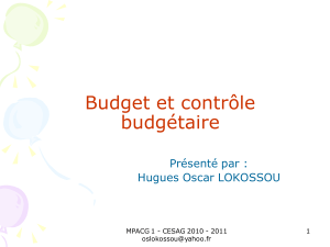 Budget et contrôle budgétaire