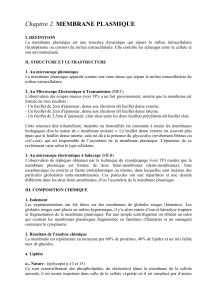 chapitre 2. membrane plasmique