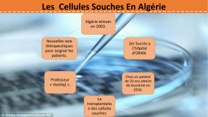 les cellules souches en algérie 