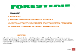 FORESTERIE-1