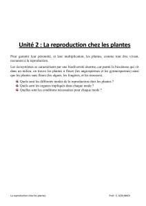 La reproduction sexuée chez les