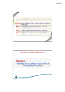 Normes IFRS : Pr&eacute;sentation de l'information financi&egrave;re