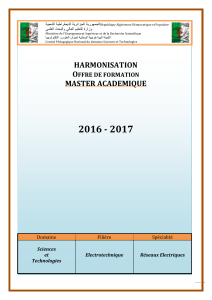 Master R&eacute;seaux Electriques: Programme de Formation