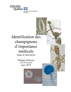 identification champignons importance medicale(1)