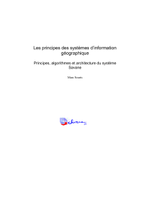 Principes SIG: Système SAVANE, Algorithmes & Architecture