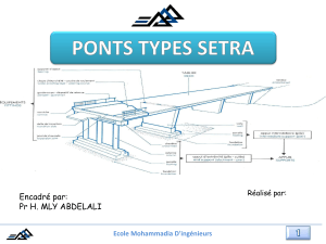 116144370-Pont-Type-de-Setra