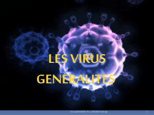 1coursvirologiegnralits1-160311161559