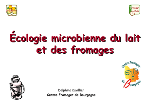 Écologie microbienne du lait et des fromages. Delphine Cuvillier Centre Fromager de Bourgogne