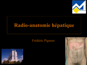 2.1 FP radio-anatomie hépatique utile