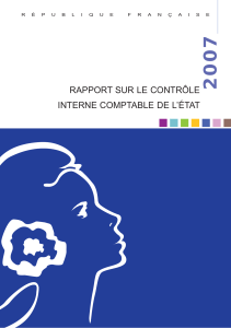 rapport controle interne 2007