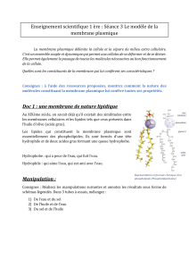Séance enseignement scientifique 1ère générale - étude de documents : la membrane plasmique