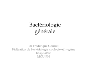 bacteries cours
