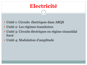 Circuits  électriques dans ARQS.pptx