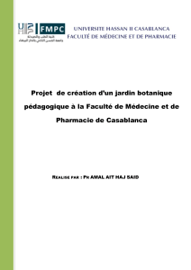 Projet JB V01 (1)