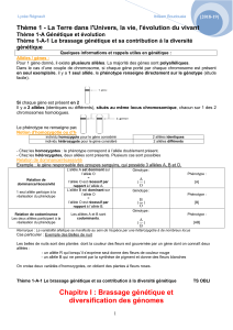 Génétique et évolution : Brassage génétique et diversité