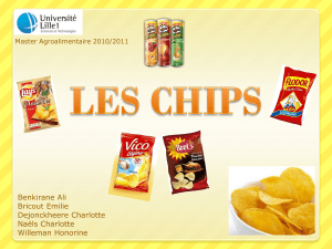 PPT Chips