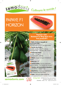 fiche-papayer-horizon-f1-resistant-ring-spot-virus-1516117840