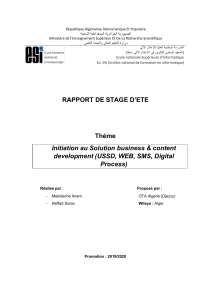 Initiation au Solution business & content development (USSD, WEB, SMS, Digital Process)
