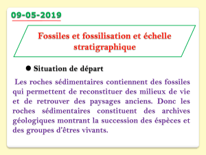 fossiles et fossilisation