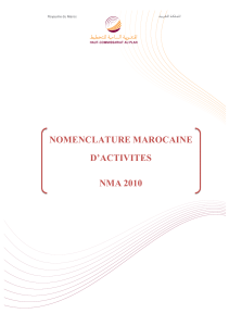 Nomenclature marocaine des activités, NMA 2010 (version française) (1)