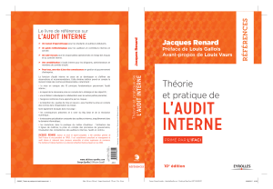 Audit Interne: Théorie et Pratique - Guide Complet