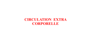 CIRCULATION  EXTRA CORPORELLE