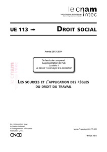 UE 113 Droit social