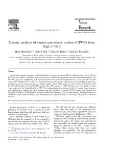 Genetic analysis of canine parvovirus isolates (CPV-2) from dogs in Italy