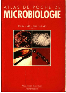 médecine-livre-atlas de poche - microbiologie 1