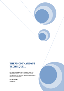 THERMODYNAMIQUE II