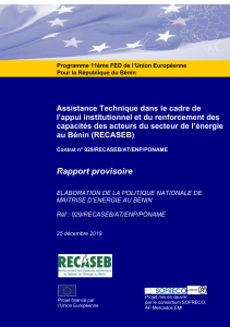 PONAME Rapport   provisoire 25122019 Draft (1)