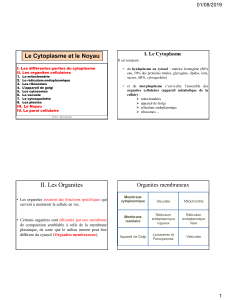 Cours Bio-cell 4